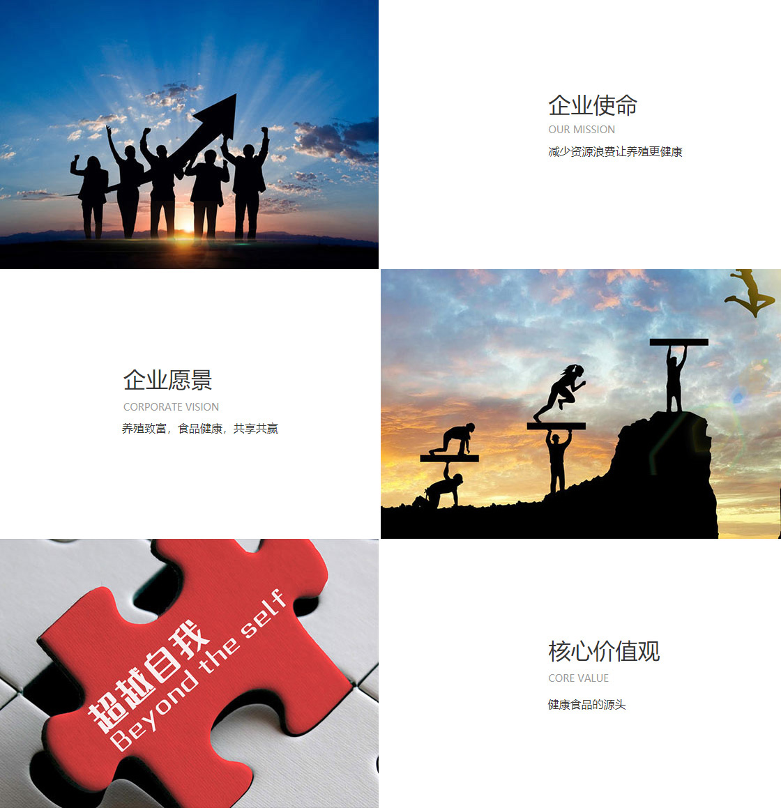 币游国际登录(图1)